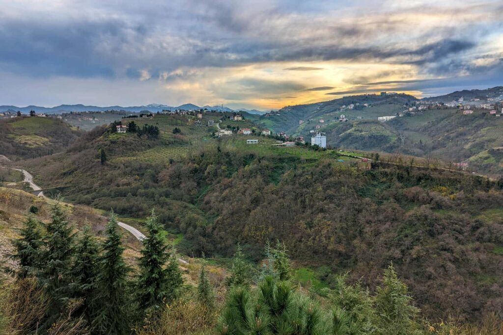 The hills of the Trabzon region for grazing Hamsiköy cows