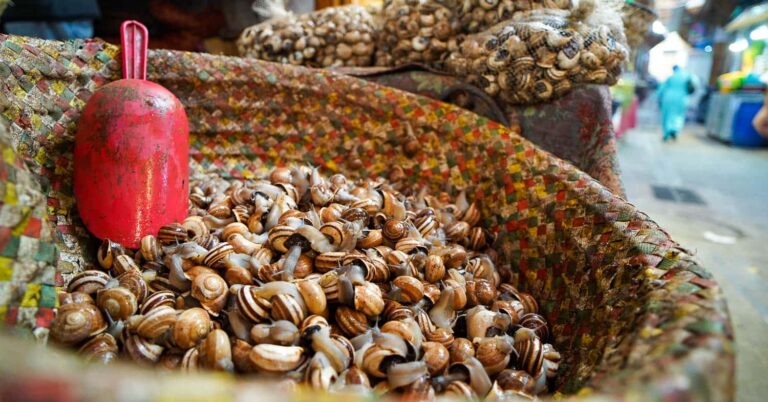 Basket of snails for Moroccan snail soup