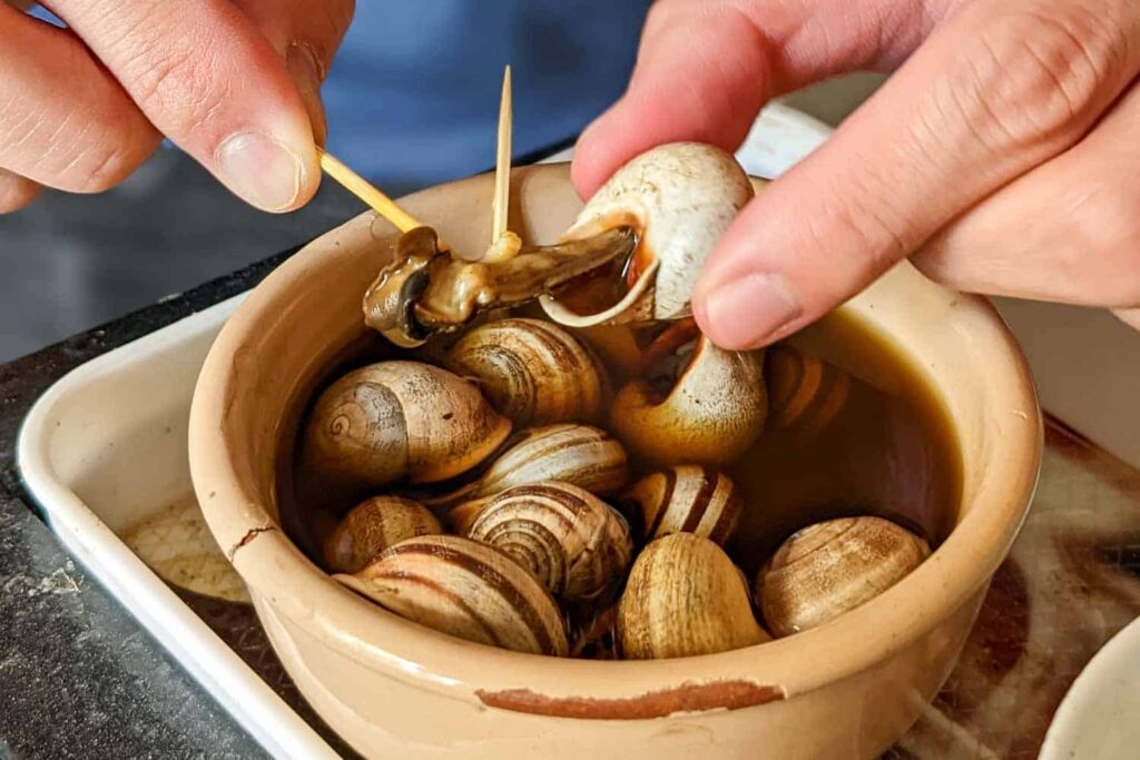 Moroccan snail soup in bowl snails being picked out with toothpick